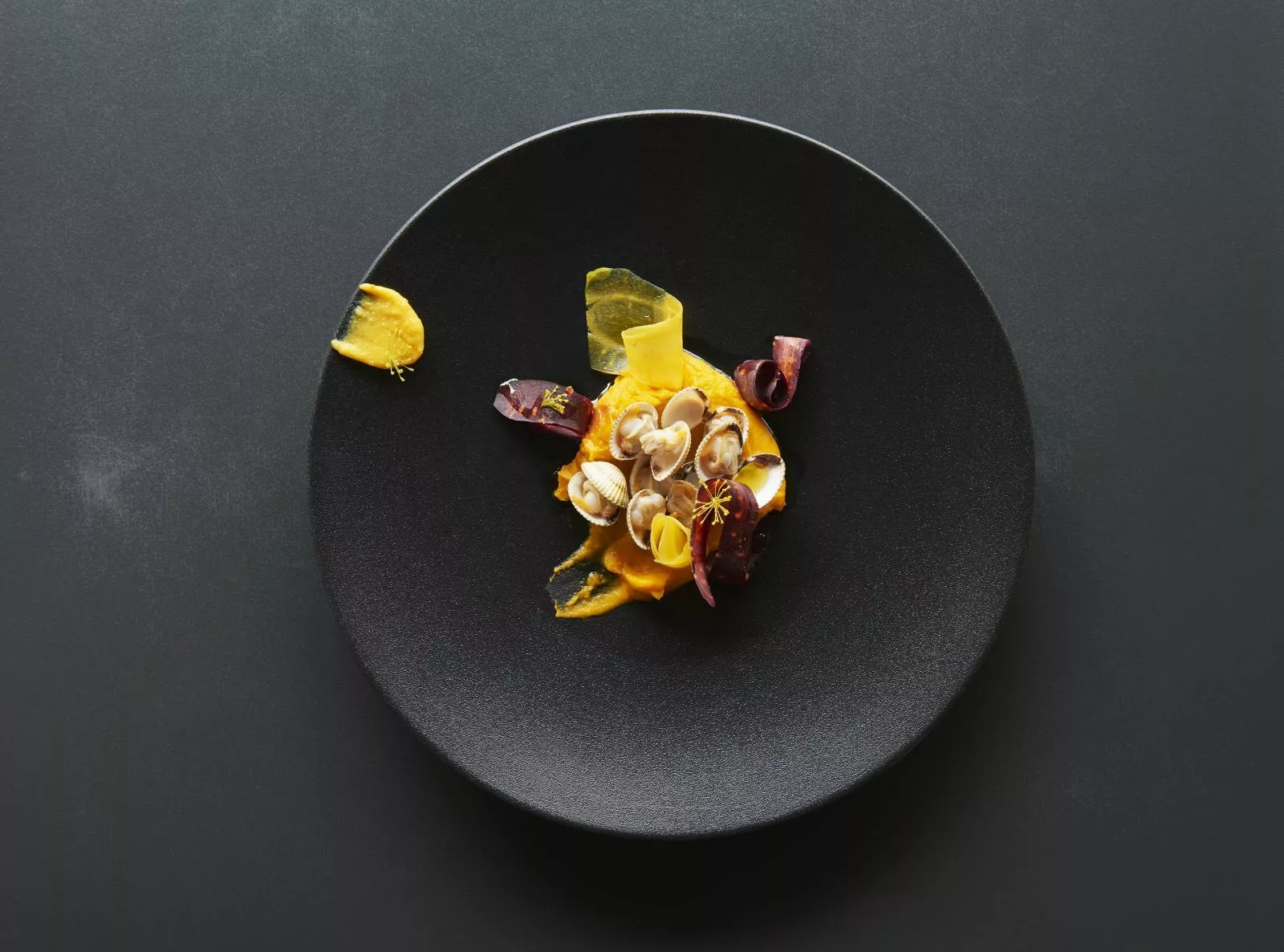 Revol France Revol Equinoxe Risskål Vitpeppar 12 Cm 3 Revol France Revol Equinoxe Risskål Vitpeppar 12 Cm - Bild 3