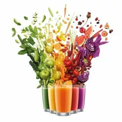 Sage Nutri Juicer Cold XL -Köksknivar Försäljning image 4